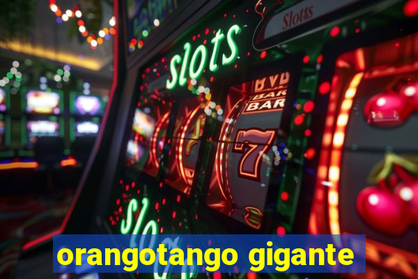 orangotango gigante